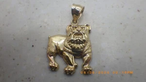 10K Yellow Gold Bull Dog Pendant, 2.5g, 5mm Bail (TDY027226) - Picture 1 of 4