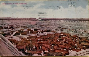 1910 Union Stock Yards Cows Cattle Pens Chicago Illinois IL Postcard B10 - Picture 1 of 2