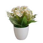 Beautiful Simulated Potted Plants Add a Natural Atmosphere to Your Interior