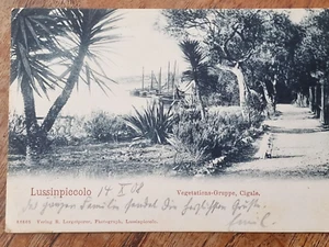 Mali Lošinj antik AK alte Postkarte Lussinpiccolo 1908 - Picture 1 of 6