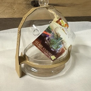 Syndicate Glass Cloche Terrarium-New - Picture 1 of 8