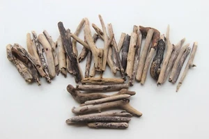 Treibholz Schwemmholz Driftwood 40 Ästchen Dekoration Basteln 13 cm - 21 cm  292 - Bild 1 von 12