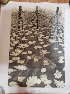 Drei Welten von M. C. Escher Kunstdruck Fantasy Koi Fisch Teich Poster Neu 1971 - Bild 1 von 8