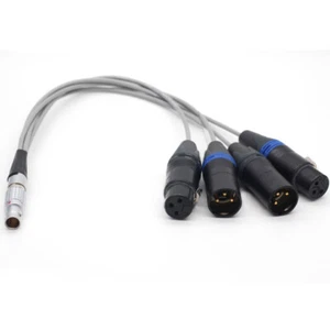 10 Pin To XLR 3 Pin Atomos Breakout Audio Cable for Shogun Monitor Recorder 12" - Picture 1 of 2