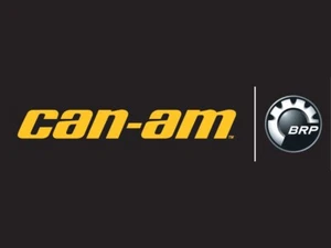 CAN-AM KIT PARKING LOCK LEVER ASSEMBLY 703501102 - Foto 1 di 1