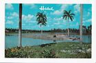 Vintage Postcard Flamingo Island Infield Lake Hialeah Racecourse Miami Florida