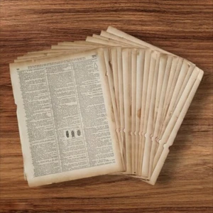 Vintage Antique Dictionary 1940s Ephemera 20 Bundle A4 Junk Journal Paper Kit - Picture 1 of 10