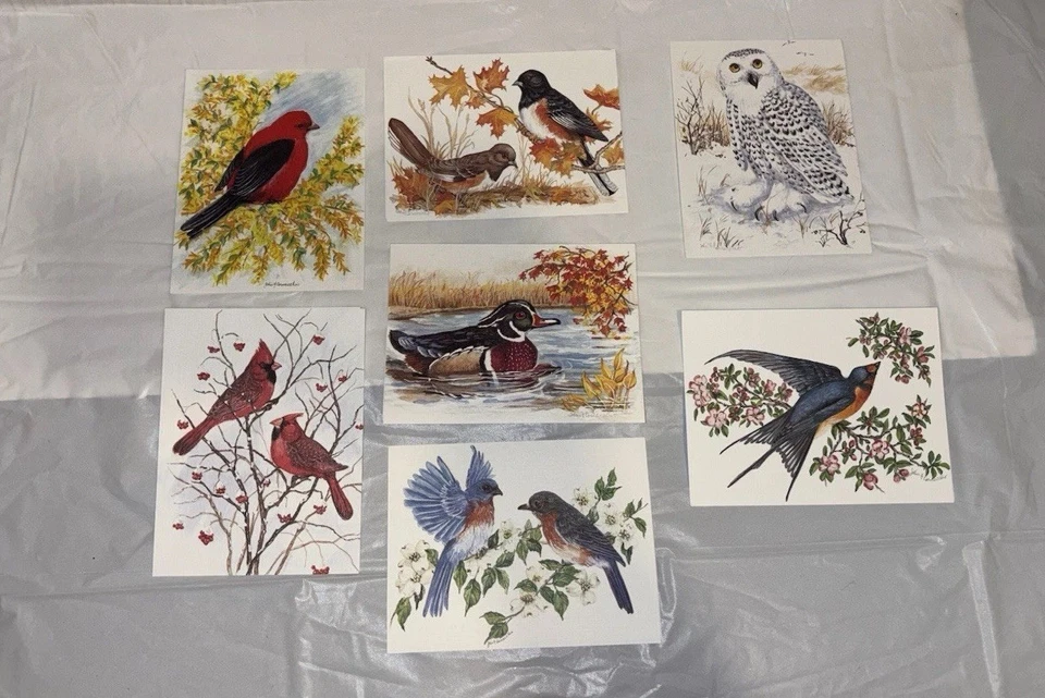 Лот из 7 смешанных расписных поздравительных открыток с птицами с пустыми конвертами - Изображение 1 из 1