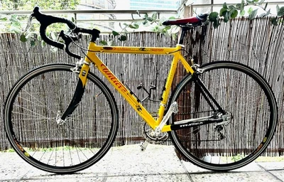 Rennrad Wilier Lavaredo Altec 2 plus mit Campagnolo Daytona 28" / 49cm Rahmen - Bild 1 von 4