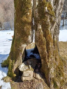 Digital Image Picture Photo Wallpaper Background Beautiful Art # 346 - Picture 1 of 1