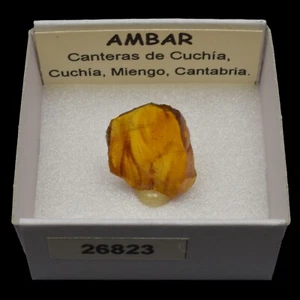 AMBAR (Canteras de Cuchia, Cuchia, Miengo, Cantabria, España) #26823 / Amber - Bild 1 von 1