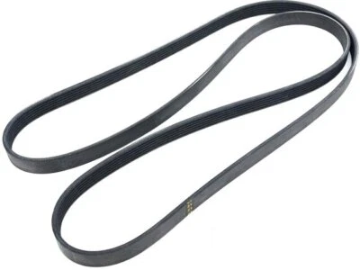 Cinturón multi costilla Mopar 99325WCVP 2010 2008 2009 2011 para Chrysler 300 2007-2012 Foto 1 de 2