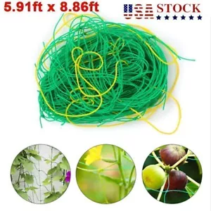 Garden Plant Climbing Net Trellis Netting Mesh Support Fruit Vine Veggie Bean US - Picture 1 of 10