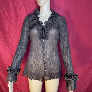 Vintage Pretty Angel Silk Blend Chocolate Crinkle Sheer Ruffle Sleeve Top Large - Picture 1 of 9