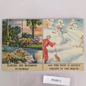 Flowers Blooming in Florida While Snow is Falling in North 1940s Linen Postcard - Picture 1 of 2