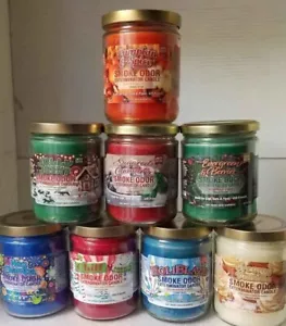 Smoke Odor 13 oz Jar Holidays & Christmas Candles Pumpkin & Spice +7 more - Picture 1 of 9