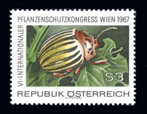 Austria: 1967 Potato Beetle (796) MNH - Picture 1 of 1