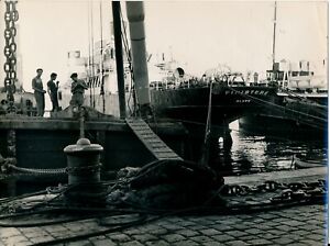 ALGER 1950 - Port Quai Bateau Finistère - Photo Colette BALTZAKIS Algérie 16