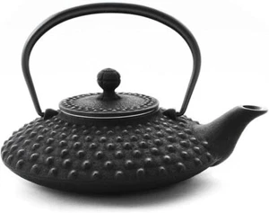 Iwachu Nanbu Tekki Teekanne Kanbin Schwarz 500 ml Kyusu Hira Arare TT13001BK - Bild 1 von 5
