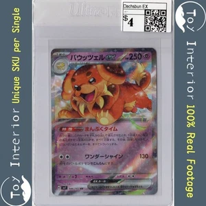 Dachsbun EX RR Japanese SV7 046/102 Stellar Miracle 2024 - Picture 1 of 2