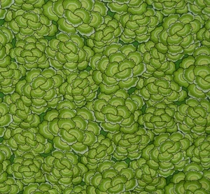 2.66 yards GREEN cabbage like fabric 44" wide - Picture 1 of 2
