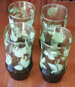 Libbey Glas Erhöhte Blätter Getränke Becher 5,5" 12 Oz Kapazität 4er Set - Bild 1 von 7