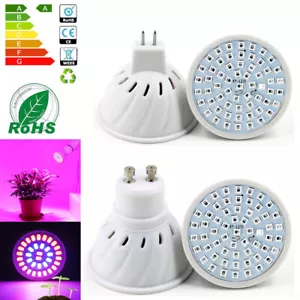 Pflanzenleuchte GU10 MR16 LED 5W 10W Birne Leuchtmittel Lampe Strahler Glühbirne - Bild 1 von 12