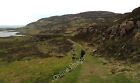 Photo 6X4 The Road To Ormaig Caisteal Beag The Grassed Road Now Used Just C2009