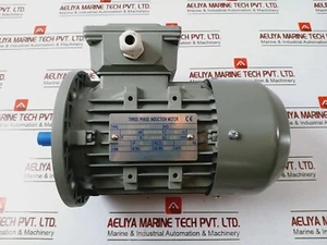 YE3L63M2-2 Three-Phase Induction Motor 0.25kW 220-240/380-415V 50Hz - Picture 1 of 9
