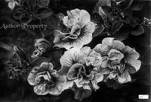 MAUVE FLOWER - Original Bleistiftzeichnung 9,5" x 13" - Bild 1 von 2