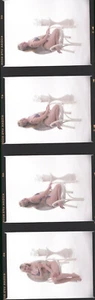 1 Rolle (9 Negative) Farbe Mittelformat Kodak VPS Film Sexy Pin Ups - Bild 1 von 2