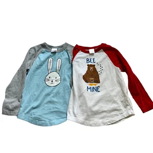 Hanna Andersson long sleeve baseball t-shirts bundle of 2 kids size 110 (US 5) - Picture 1 of 10