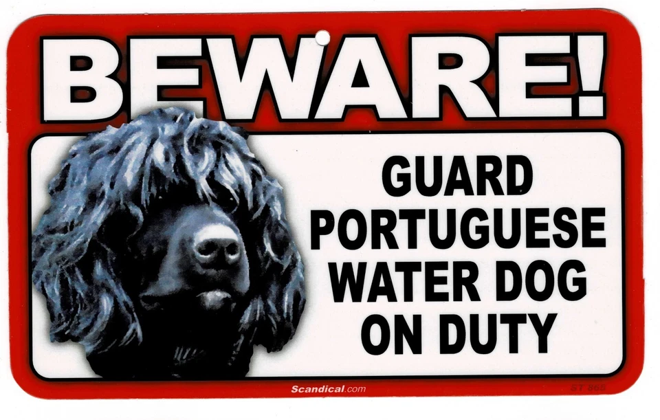 CUIDADO CON EL LETRERO LAMINADO RECTANGULAR PORTUGUÉS DE AGUA PERRO/MASCOTA.ENVÍO COMBINADO. Foto 1 de 1