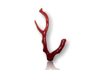 Koralle rot in Astkoralle Koralle ast edelsteine korallenast aus coral corallo - Bild 1 von 2