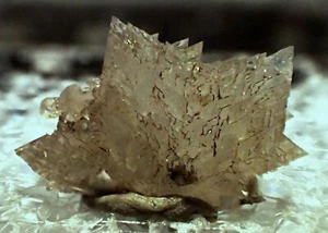 EUDIDYMITE Rare Fine Mineral Specimen Crystal Mont Saint Hilaire Quebec Canada - Picture 1 of 4