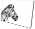 Zebra Abstract Scribble Animals SINGLE Leinwand Wand Kunst Bild drucken