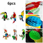6X Tropical Birds Honeycomb Hanging Decorations Paper Hanging Parrot Party Decor
