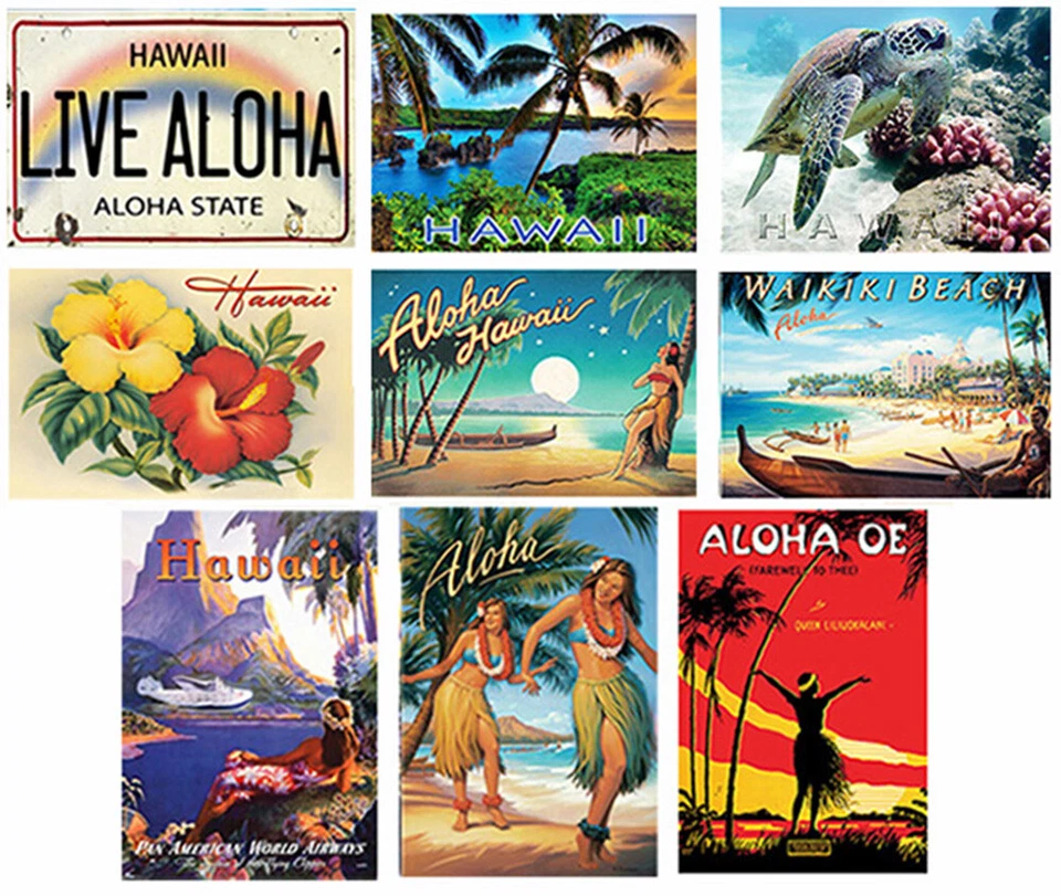 Imanes hawaianos insignia de metal base de soja impresión Hawaii arte más vendido imágenes locales Foto 1 de 1