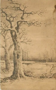 The Pink of Perfection Winter Scene Trees Lake Ice and Snow Postcard - Picture 1 of 2
