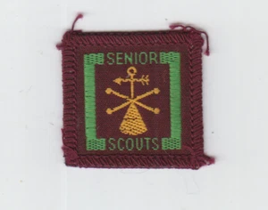 Insignia Boy Scout SENIOR competencia meteorológica - Imagen 1 de 1