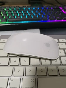 Apple A1296 Magic Mouse - Weiß (MB829Z/A) - Afbeelding 1 van 1