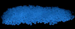 Luminous Stone Glow Stones Glow in The Dark Rocks Outdoor for 1000 White, NEW - Picture 1 of 7