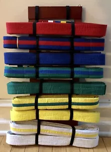 9 Level Martial Arts Display Wall Rack Holder Karate Tae Kwon Do INCLUDES BELTS - Picture 1 of 2