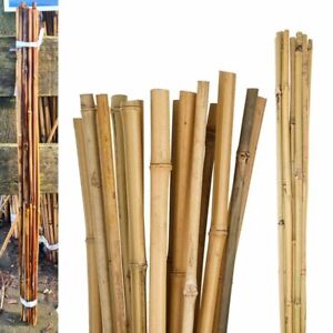 Bamboo Heavy Duty Garden Canes Thick Quality Flower Plant Support Cane Stake