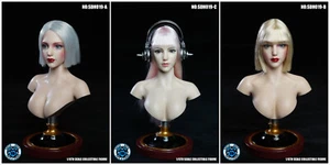 1/6 Super Duck Female Cyborg Headsculpt for Phicen Body SDH019 - Bild 1 von 28