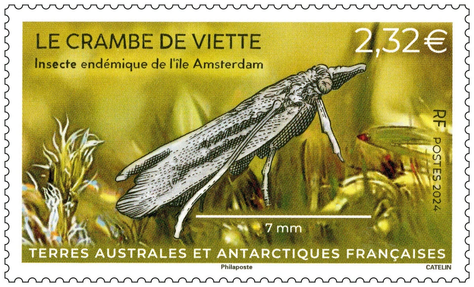 France -​ TAAF stamp - The crambe of Viette - Image 1 of 1