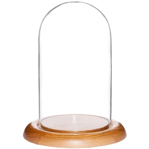 Plymor 4" x 7" Glass Display Dome Cloche (Oak Wood Base) - Picture 1 of 1