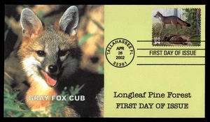 Mayfairstamps US FDC 2002 Gray Fox Cub Tallahassee FL First Day Cover aau_10575 - Picture 1 of 2
