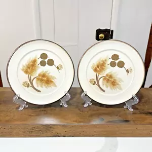 Denby Cotswold Side Plates x 2 Starter Appetiser Stoneware 16.5cm Cottagecore - Picture 1 of 9