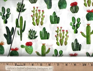 Cowboy Up - CACTUS 29848-Z - Picture 1 of 1